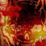 Lace Labor : Shotgun Facelift